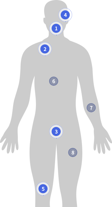 body