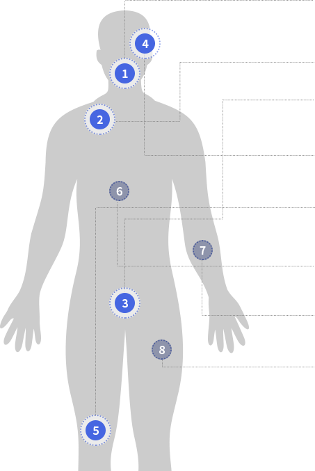 body