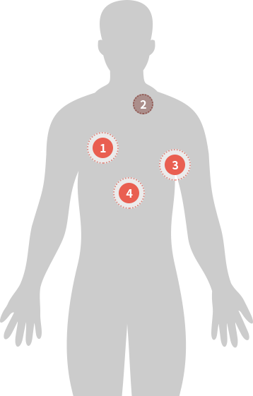 body