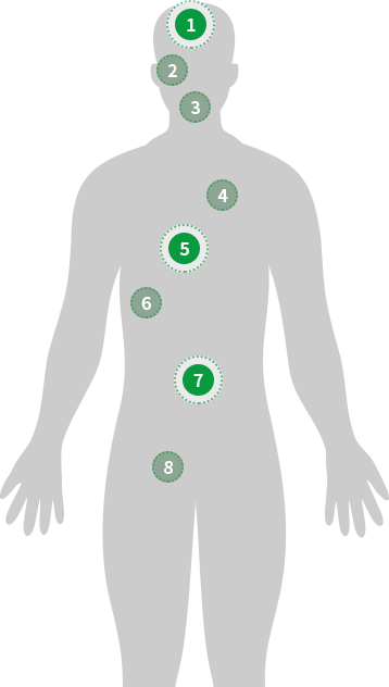 body