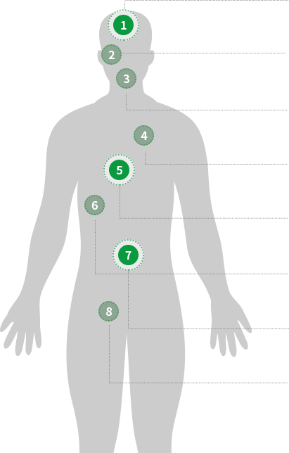 body