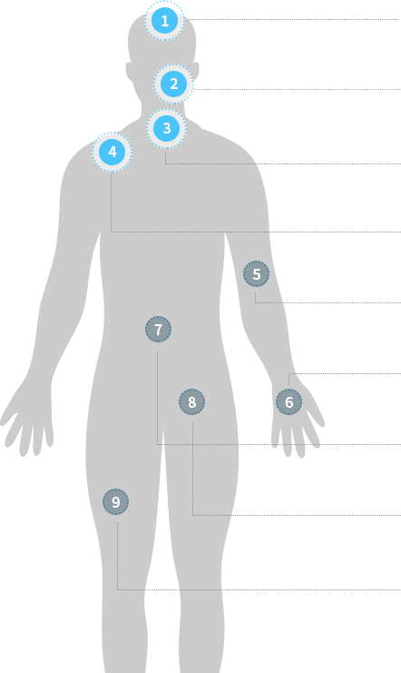 body