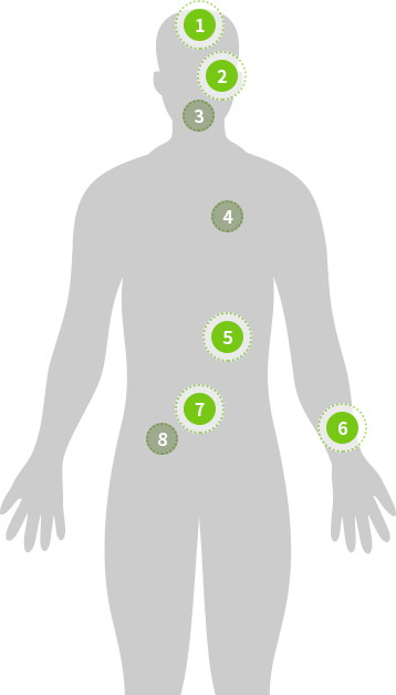 body