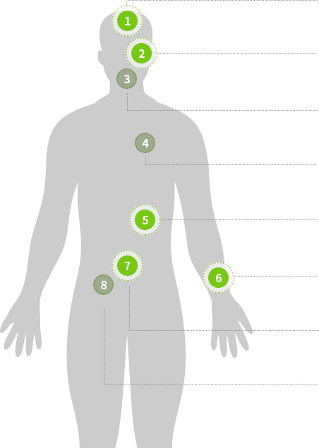 body