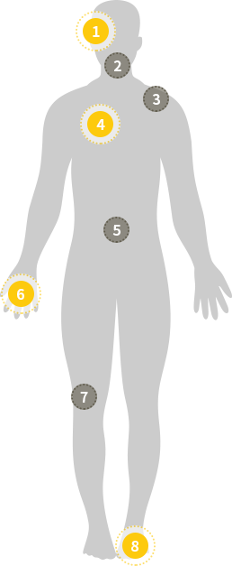 body