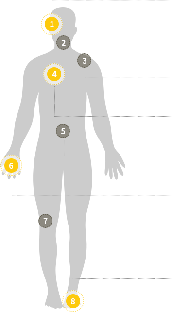 body